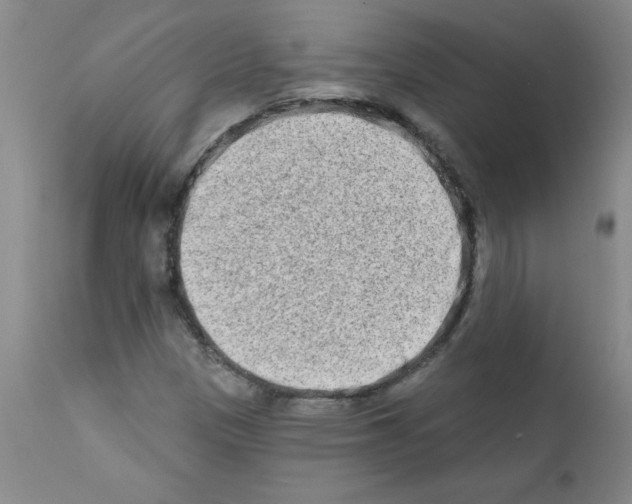 X0000111791305200909031147