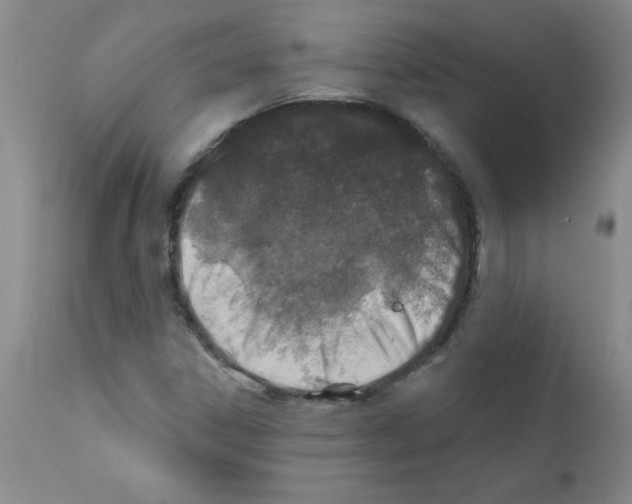 X0000111791306200909031148