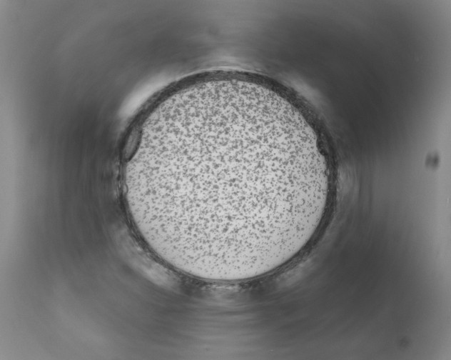 X0000111791310200909031148