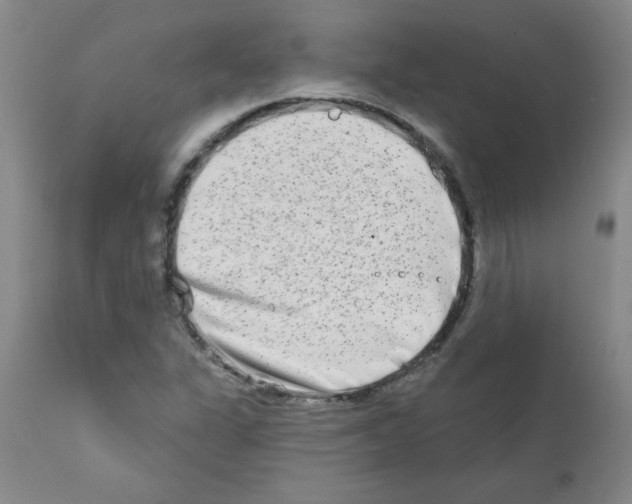 X0000111791311200909031148