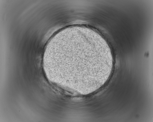 X0000111791313200909031148