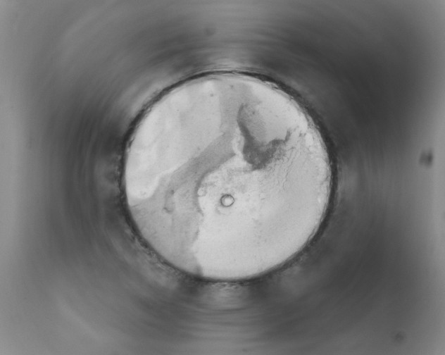 X0000111791314200909031148