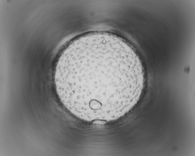 X0000111791315200909031148