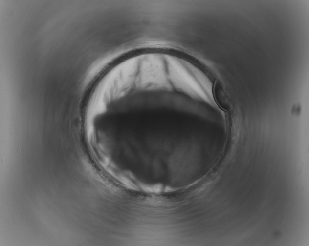 X0000111791319200909031148