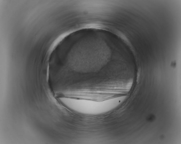 X0000111791323200909031148