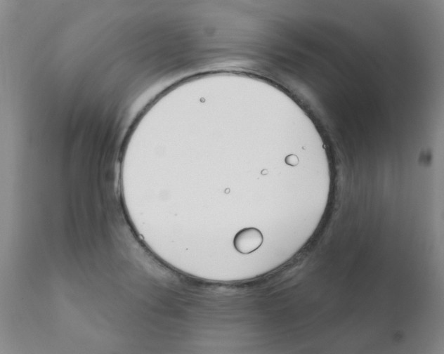 X0000111791324200909031148