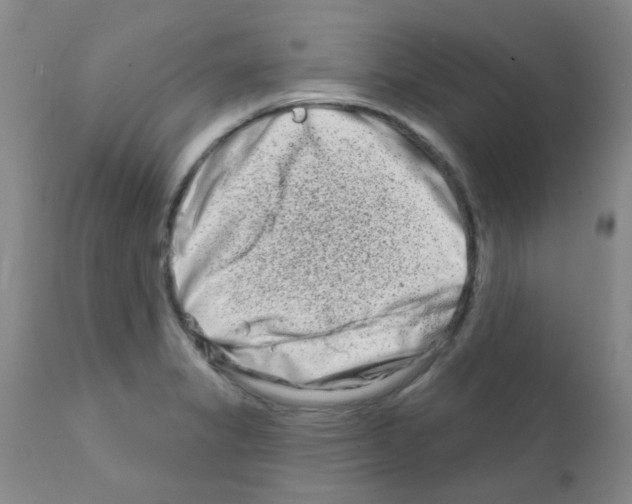 X0000111791325200909031148