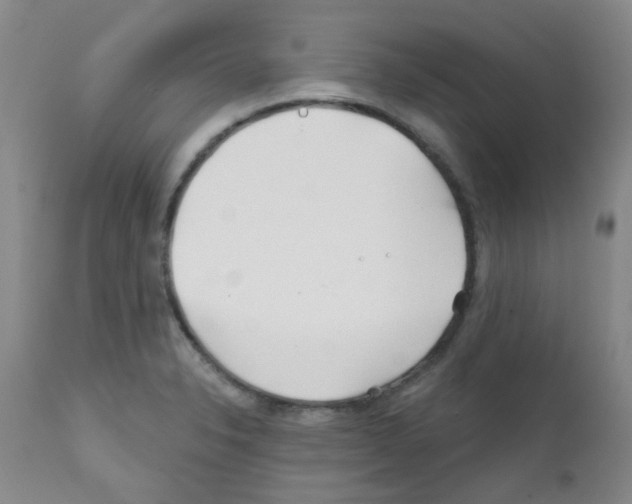 X0000111791326200909031148