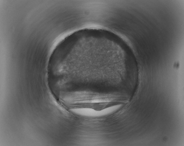 X0000111791327200909031148