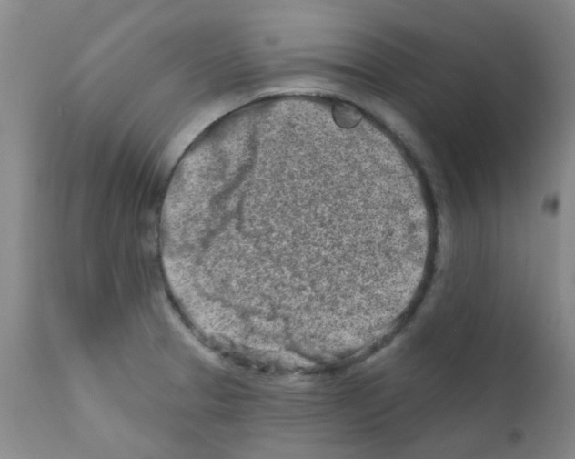 X0000111791329200909031148