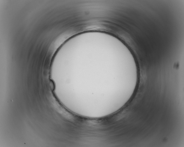 X0000111791330200909031148