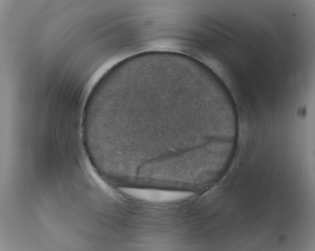 X0000111791331200909031148