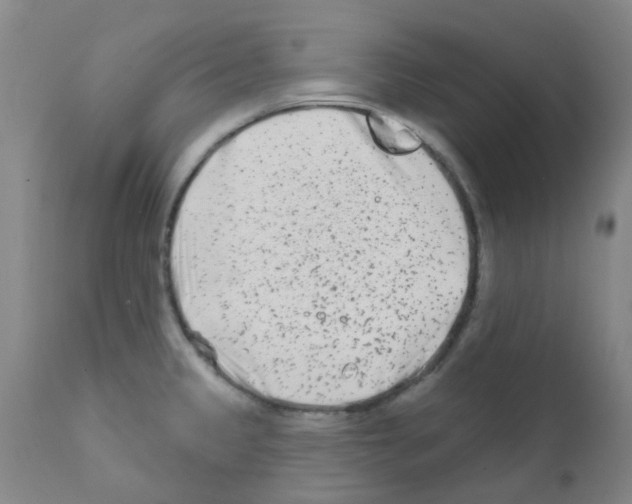 X0000111791333200909031148