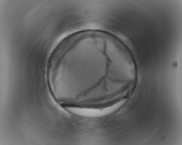 X0000111791334200909031148