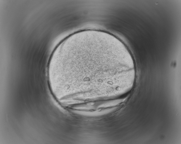 X0000111791335200909031148