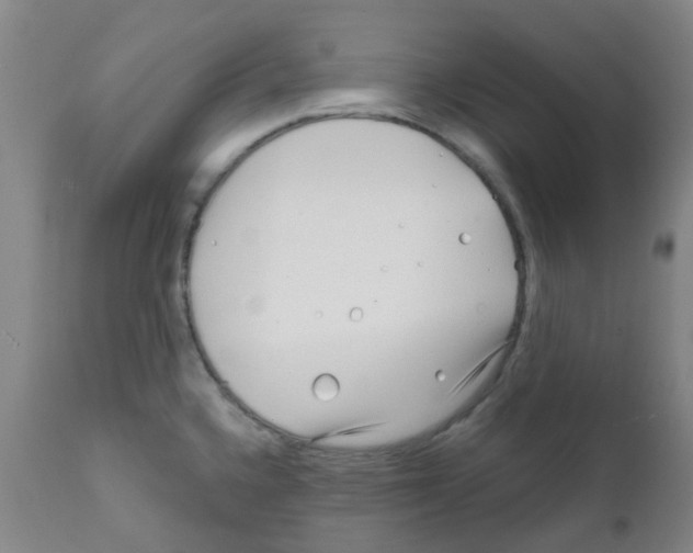 X0000111791336200909031148