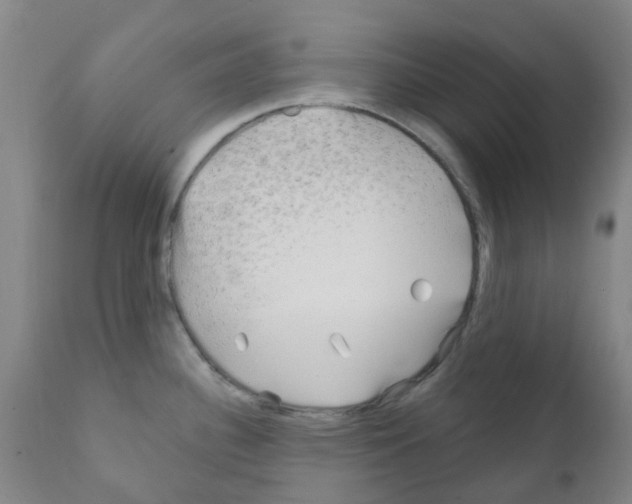 X0000111791340200909031148