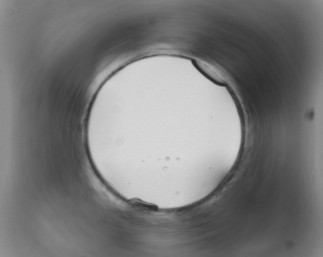 X0000111791341200909031148