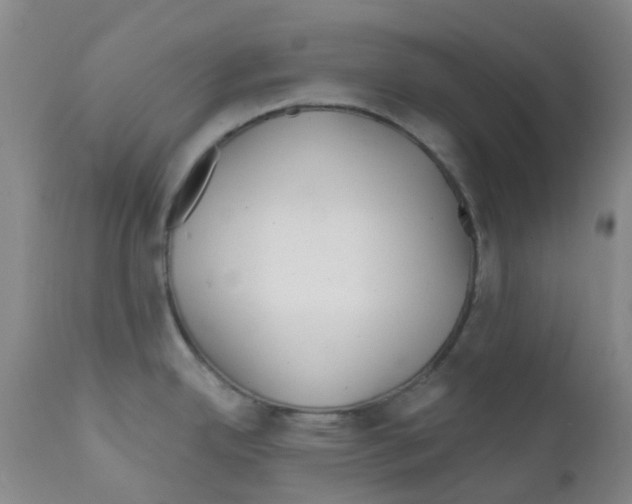 X0000111791342200909031148