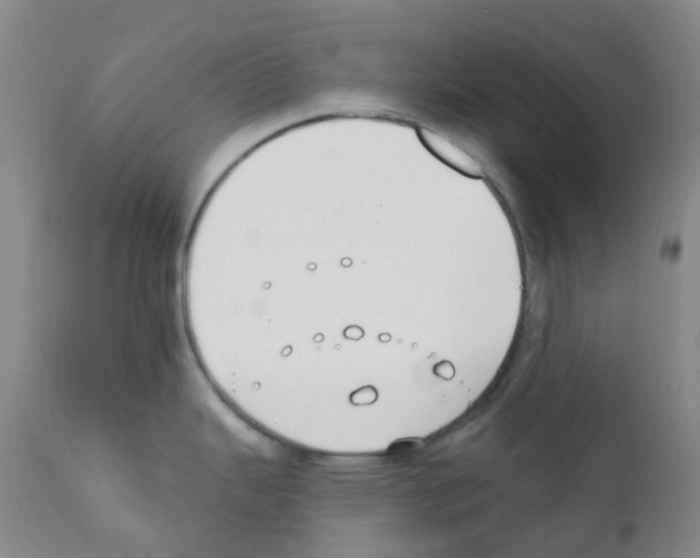 X0000111791343200909031148