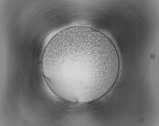 X0000111791344200909031148