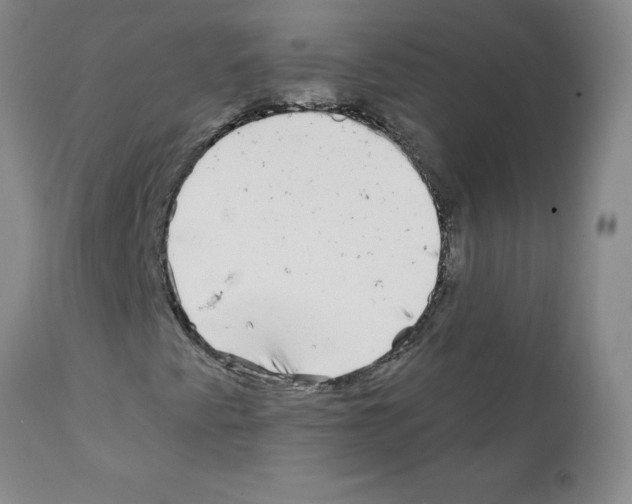 X0000111791345200909031147