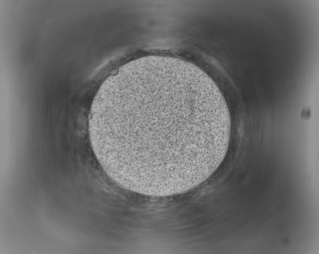 X0000111791350200909031147