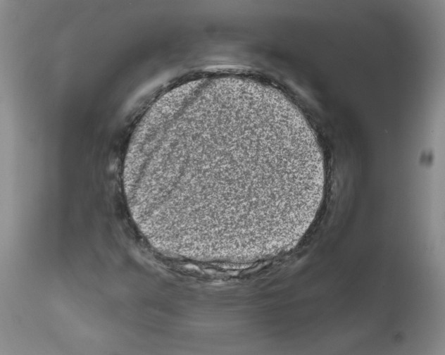 X0000111791351200909031147