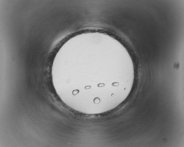 X0000111791352200909031147