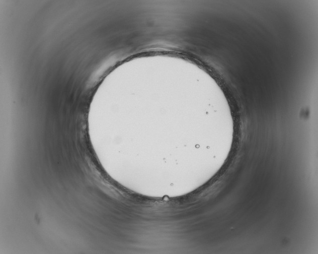 X0000111791355200909031147