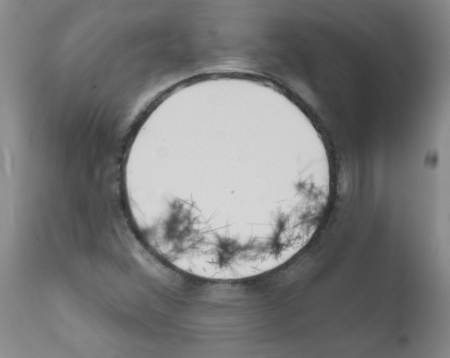 X0000111791356200909031147