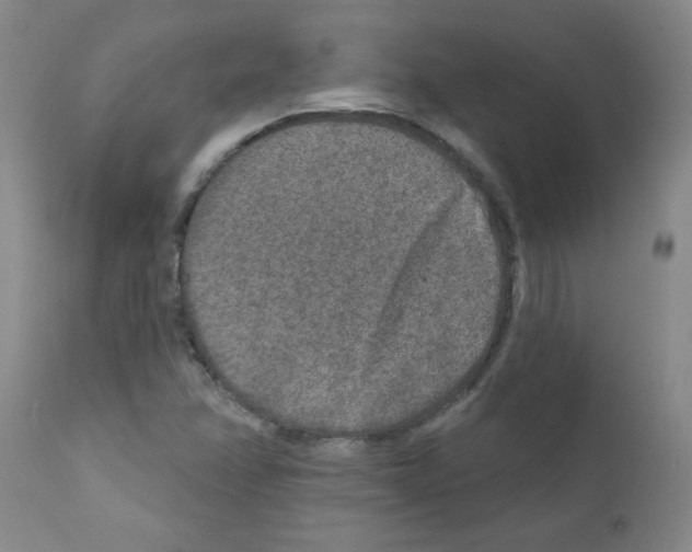 X0000111791358200909031147