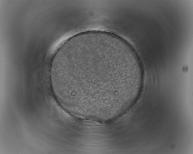 X0000111791359200909031147