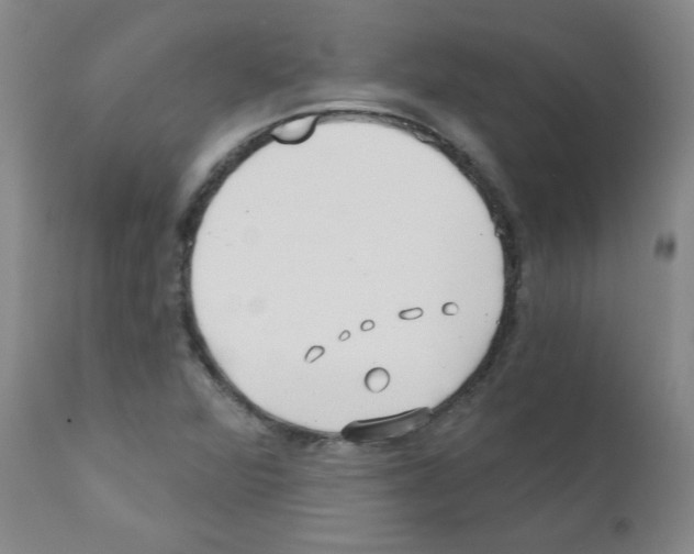 X0000111791360200909031147