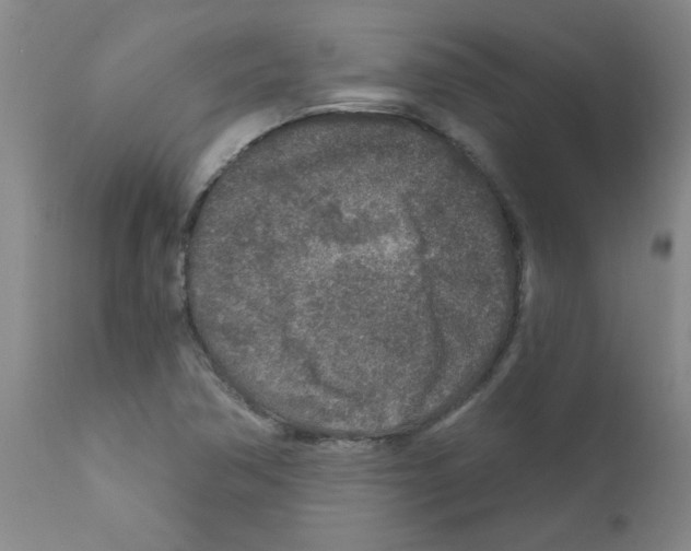 X0000111791362200909031147