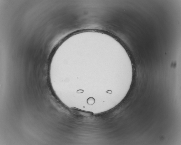 X0000111791364200909031147