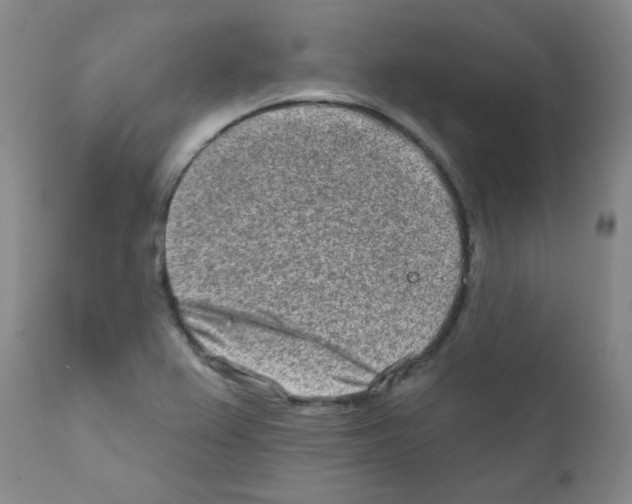 X0000111791367200909031147