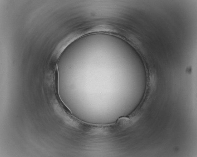 X0000111791369200909031147