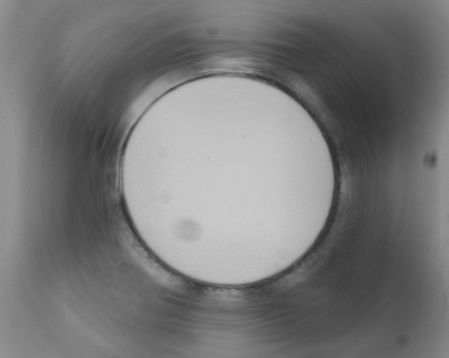 X0000111791370200909031147