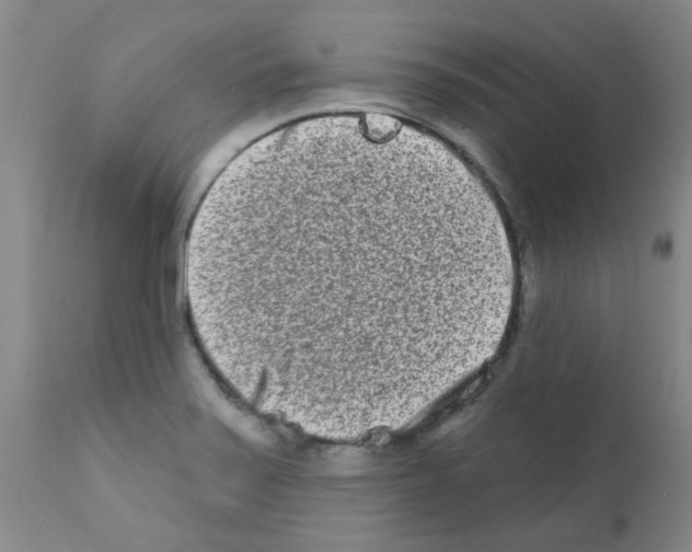 X0000111791371200909031147