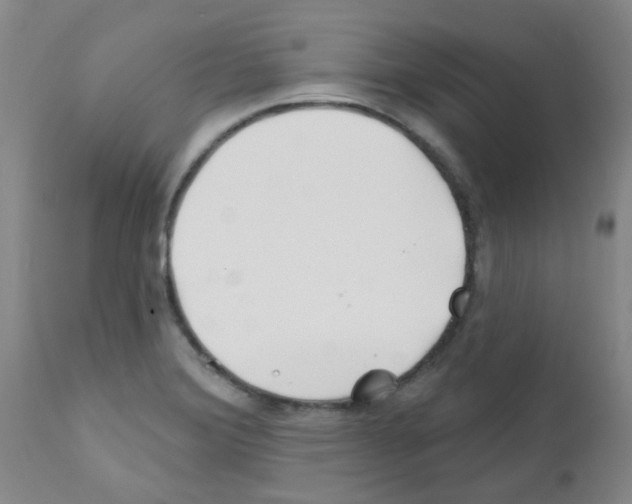 X0000111791372200909031147