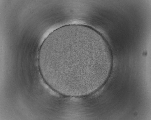 X0000111791374200909031147