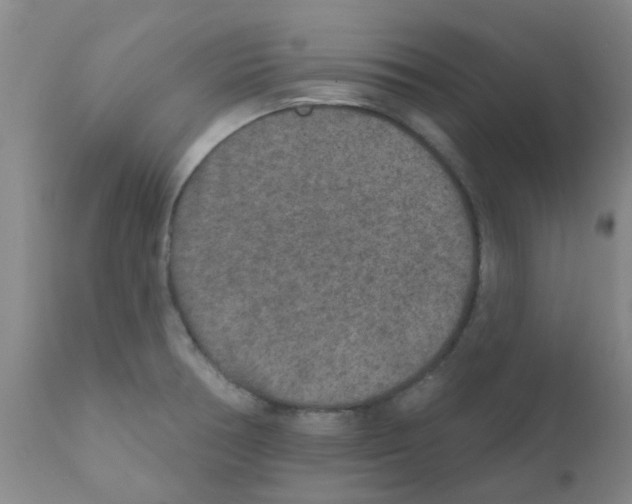 X0000111791378200909031147