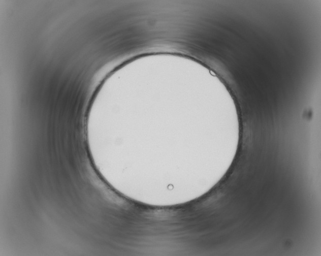 X0000111791380200909031147