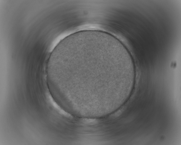 X0000111791382200909031147