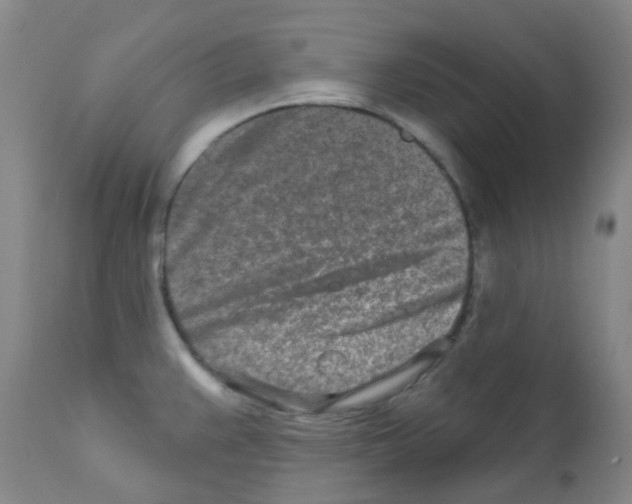 X0000111791383200909031147