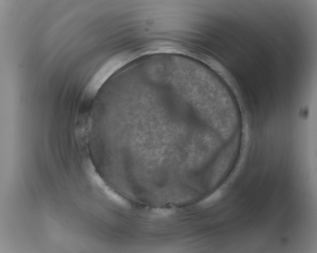 X0000111791385200909031147