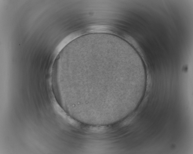 X0000111791386200909031147