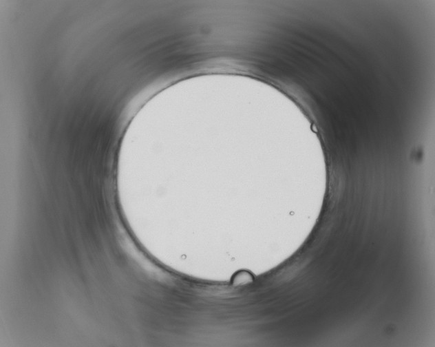 X0000111791387200909031147