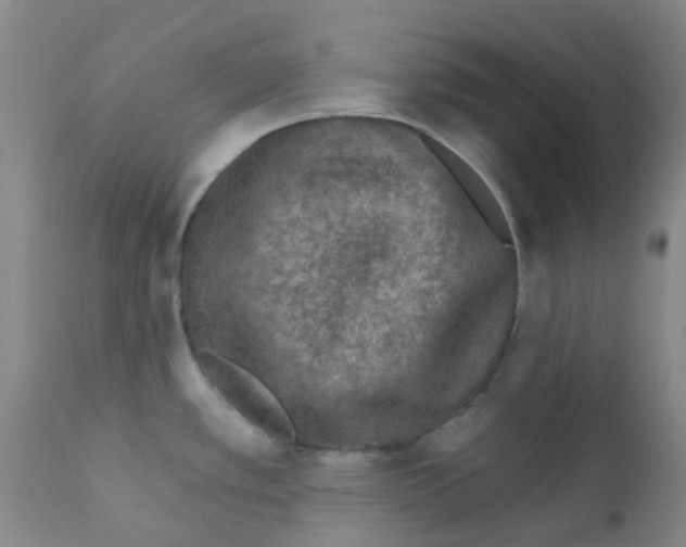 X0000111791389200909031147